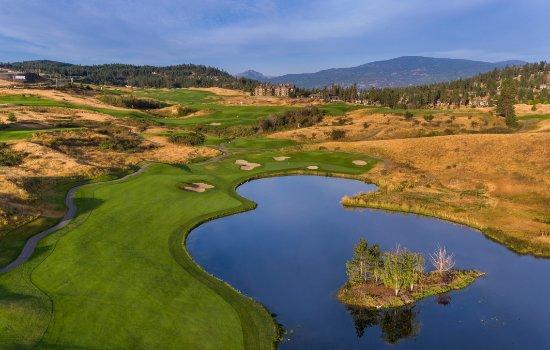 Pole golfowe Predator Ridge